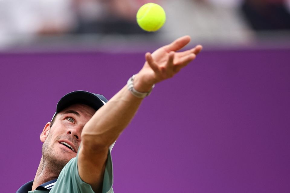 式应援就会 式应援就会